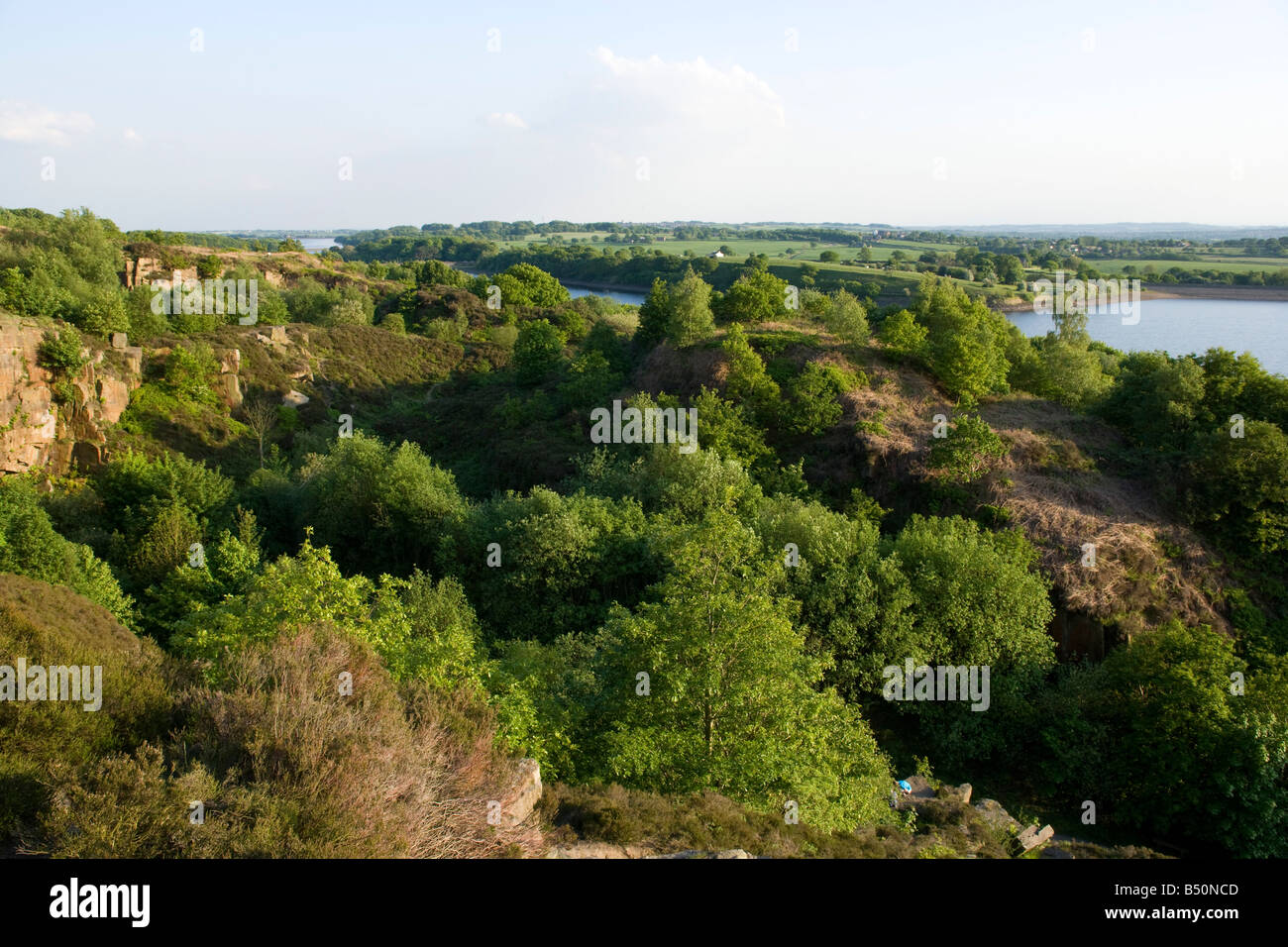 Peeling und neuen Wald kolonisieren die verlassenen Steinbruch Anglezarke. Stockfoto