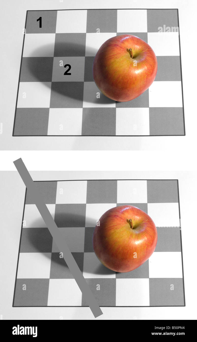 Optische Täuschung: die zwei nummerierte Plätze auf der Platine (Foto oben) sind den gleichen Ton. Der Beweis ist auf dem unteren Foto gezeigt. Stockfoto