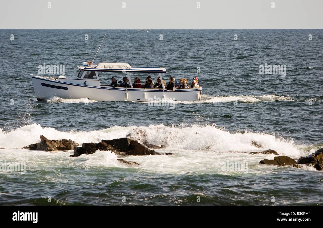 Tourenboot vor der Küste von Maine Stockfoto