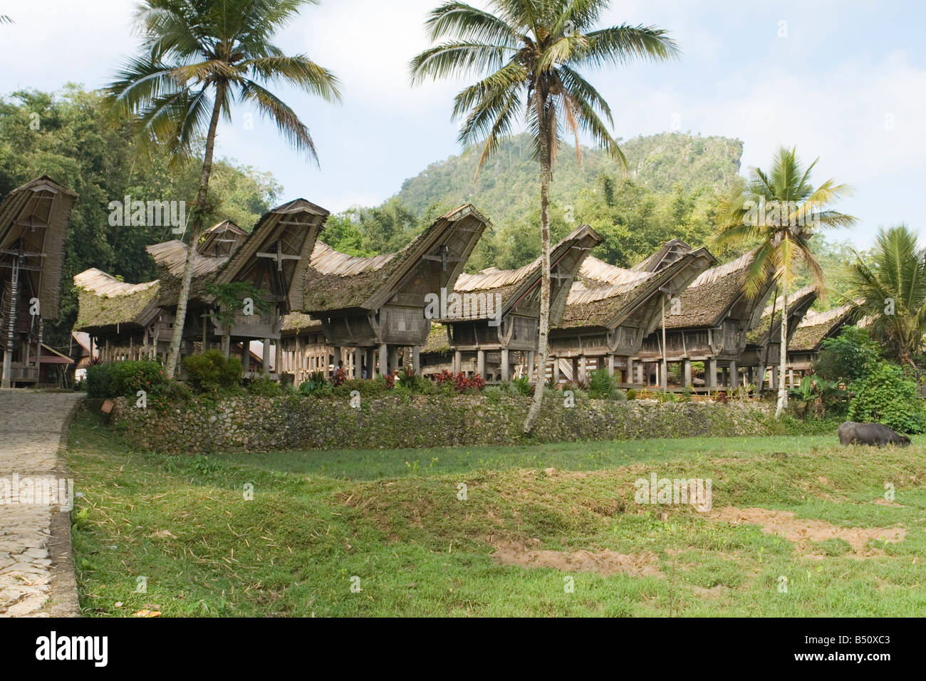 Häuser und Reis Scheunen des Dorfes Ke'te Kesu (Sulawesi - Indonesien). Maisons et Greniers À Riz du zahlt Toraja (Indonésie). Stockfoto