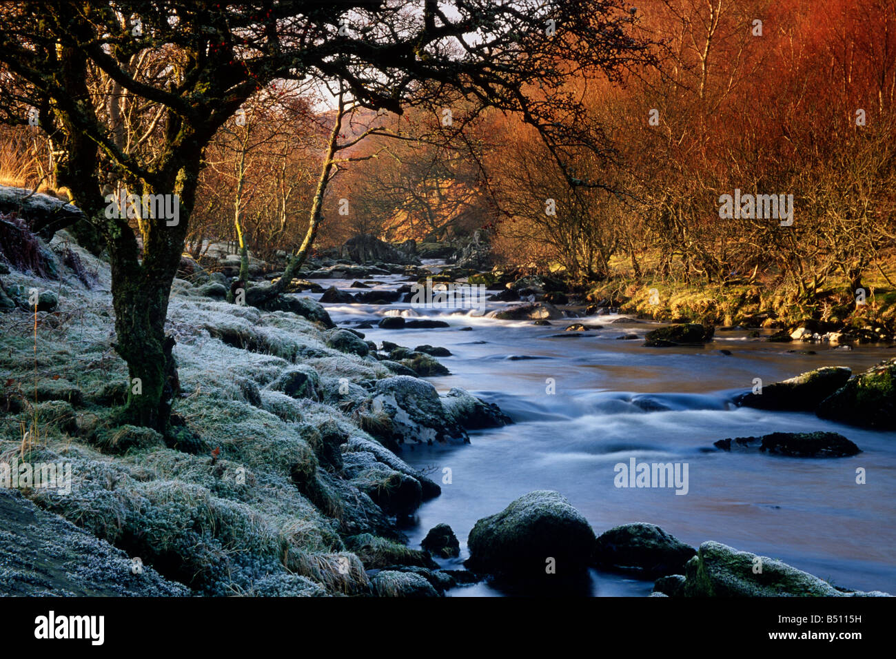 Afon Lledr am frühen Morgen Snowdonia Nord-Wales Stockfoto