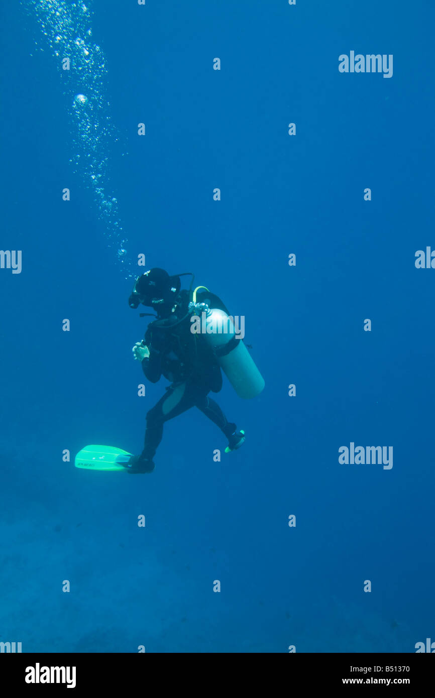 Taucher am Korallenriff im Blue Hole aus Dahab am Roten Meer in Ägypten Stockfoto