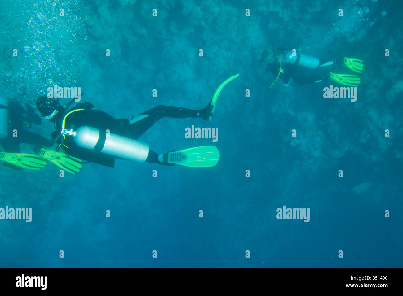 Taucher am Korallenriff im Blue Hole aus Dahab am Roten Meer in Ägypten Stockfoto