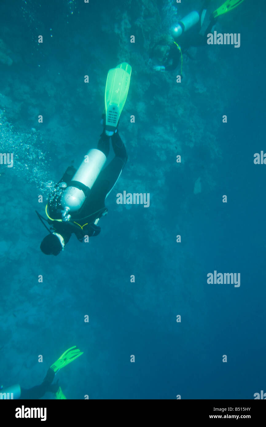 Taucher am Korallenriff im Blue Hole aus Dahab am Roten Meer in Ägypten Stockfoto