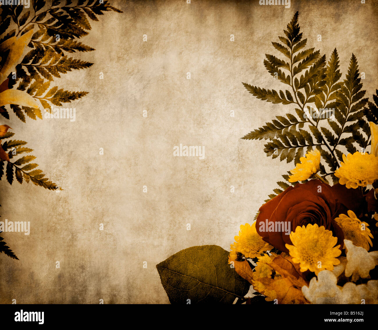 Blumen auf Pergament Hintergrund Stockfoto