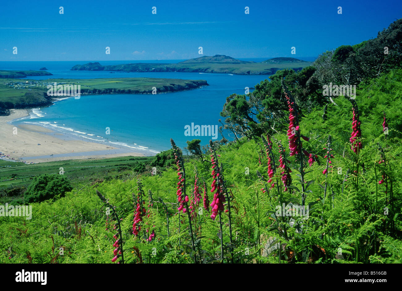 Whitesands Bay und Ramsey Island Pembrokeshire Stockfoto