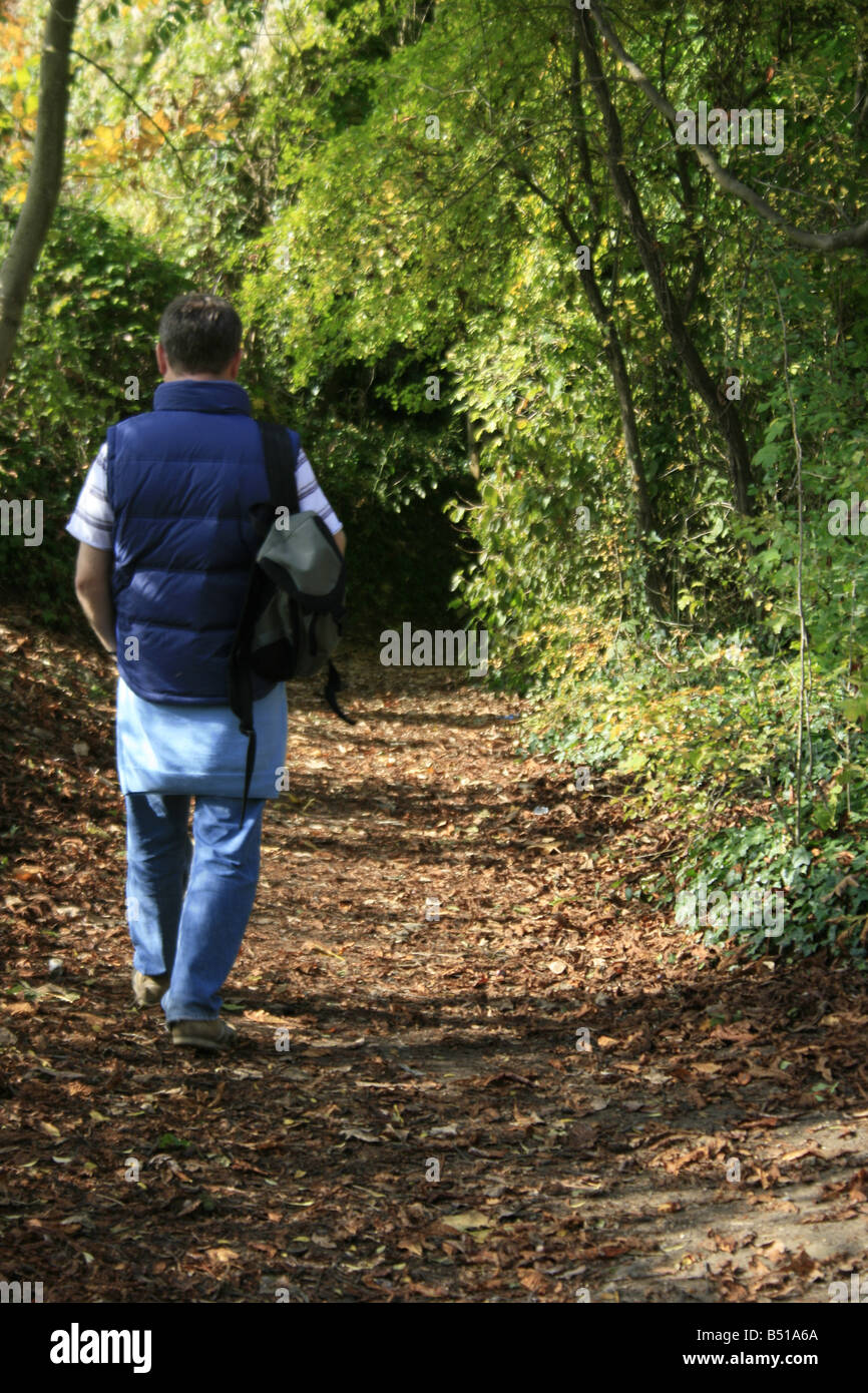 Rambler, Wandern in den Wäldern oberhalb Auvers Sur Oise im Herbst Stockfoto