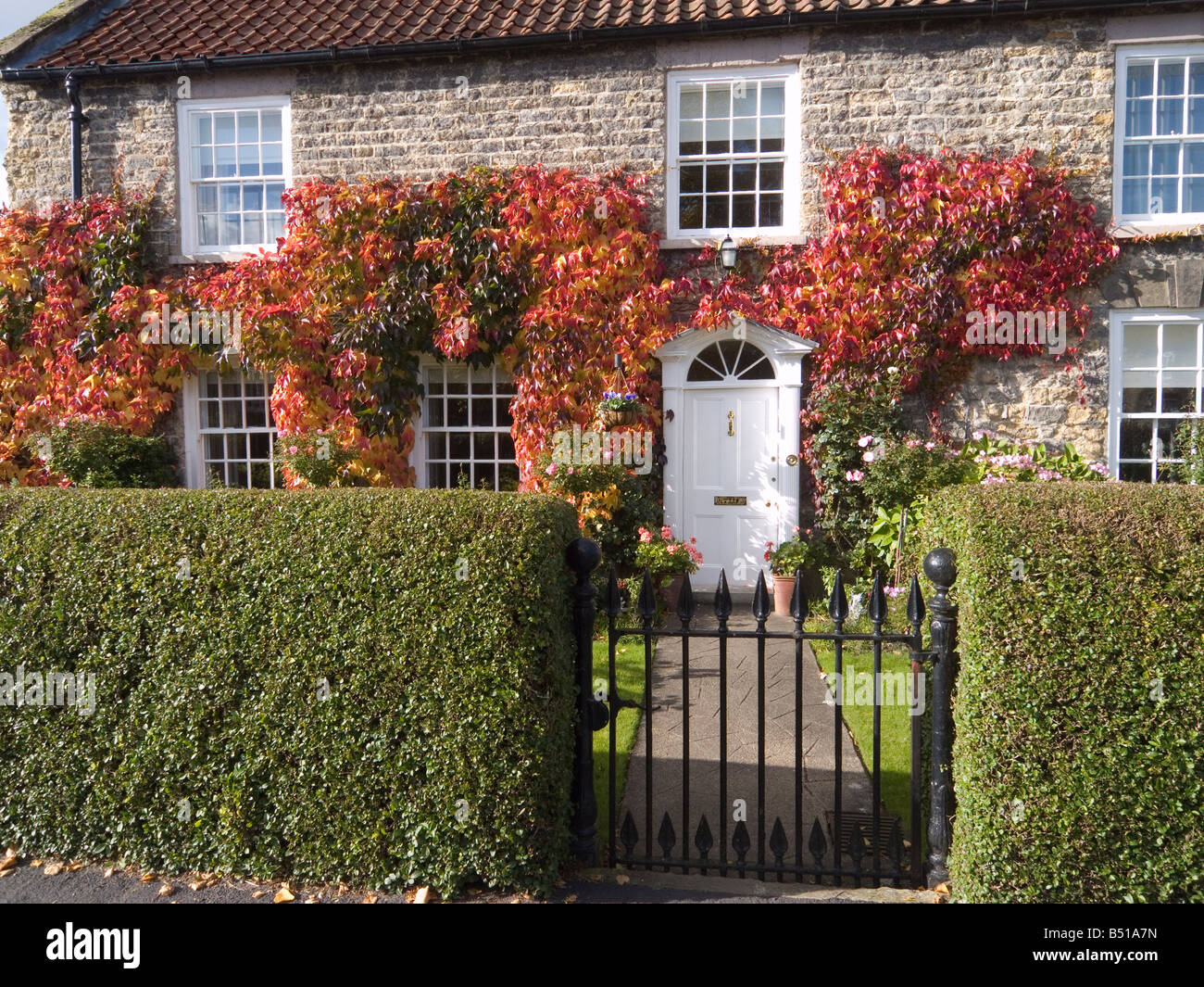 Vorderseite des edler Stein erbaute Haus abgedeckt in wildem Wein im Helmsley North Yorkshire UK Stockfoto