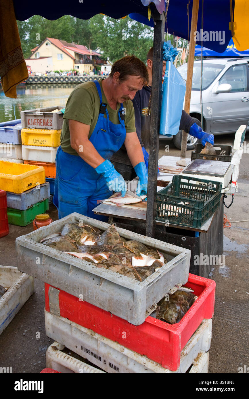 Fischer, die Zubereitung von Fisch auf Dockside Leba Polen Stockfoto