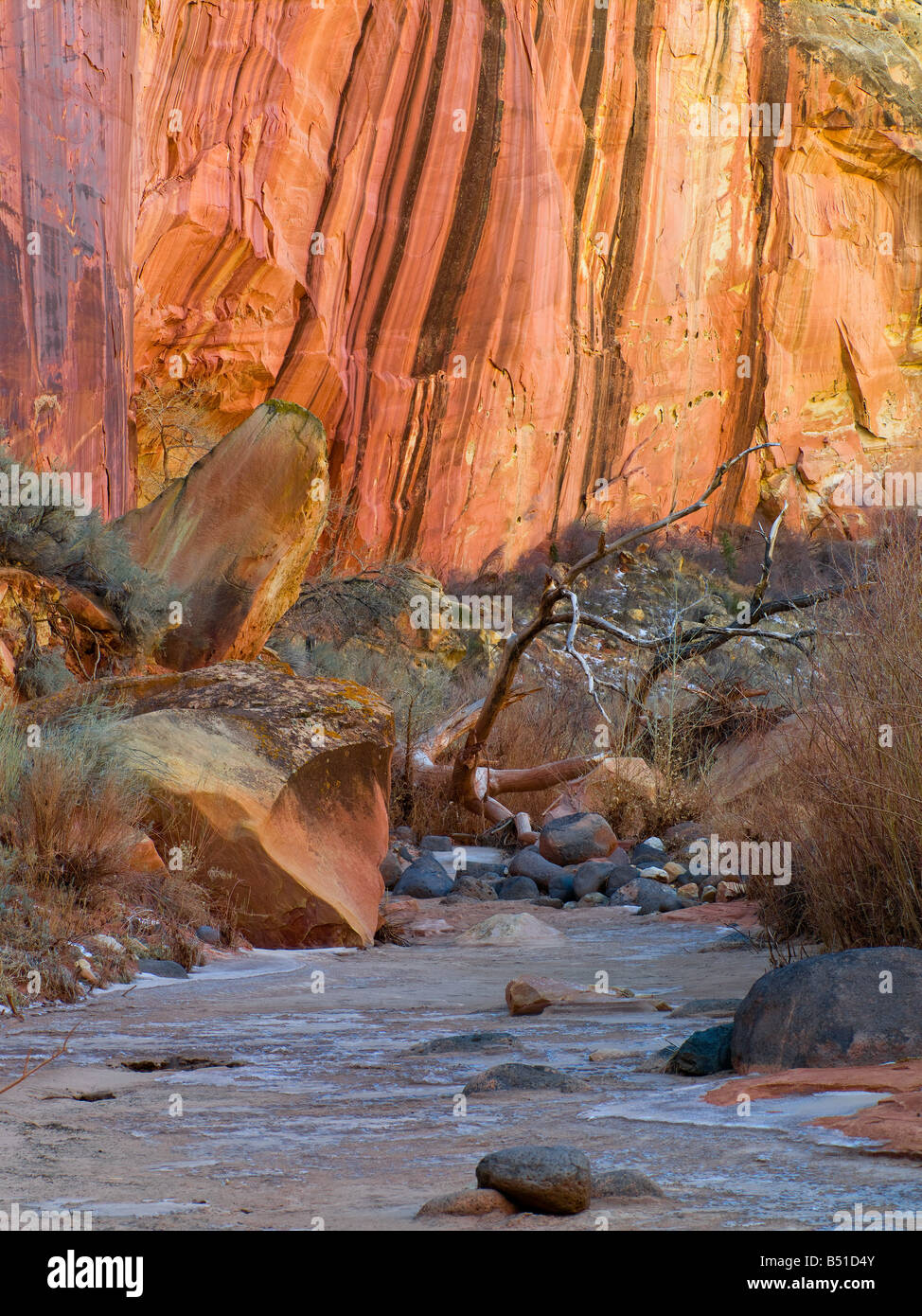 rote Felsen und eisigen creek Stockfoto