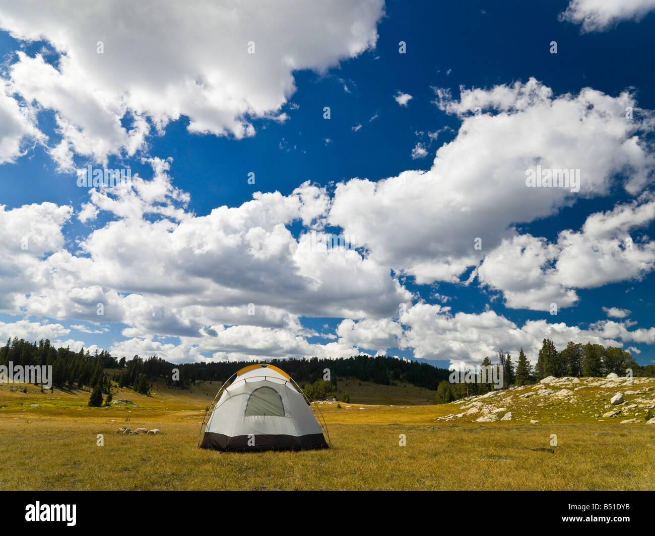 Camping Zelt in der Wildnis Stockfoto