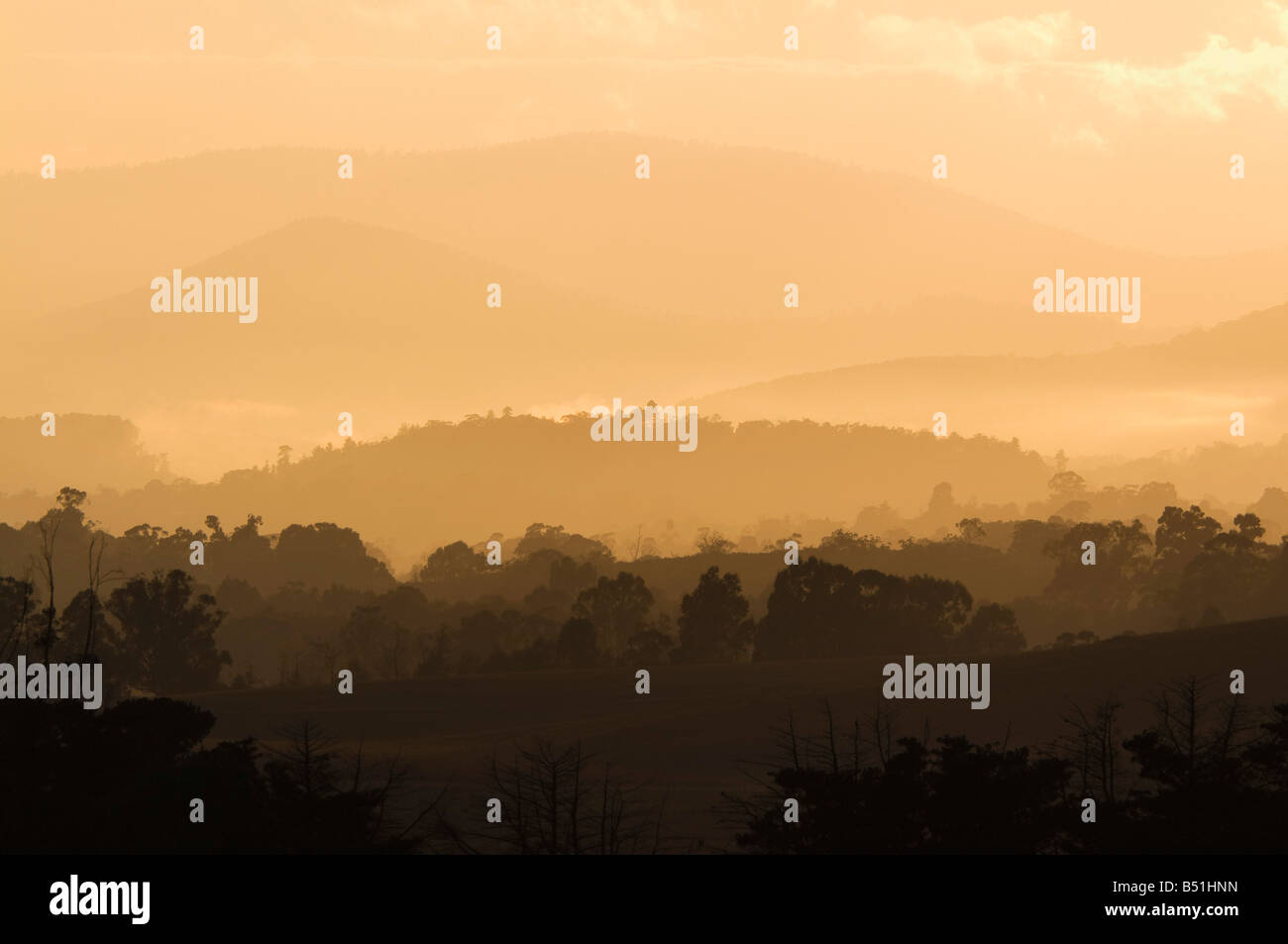 Yarra Valley, Victoria, Australien Stockfoto