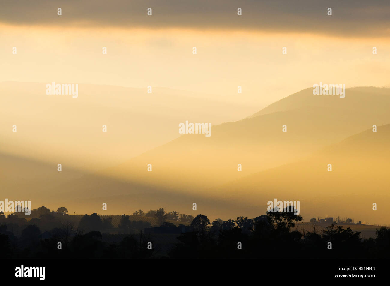 Yarra Valley, Victoria, Australien Stockfoto