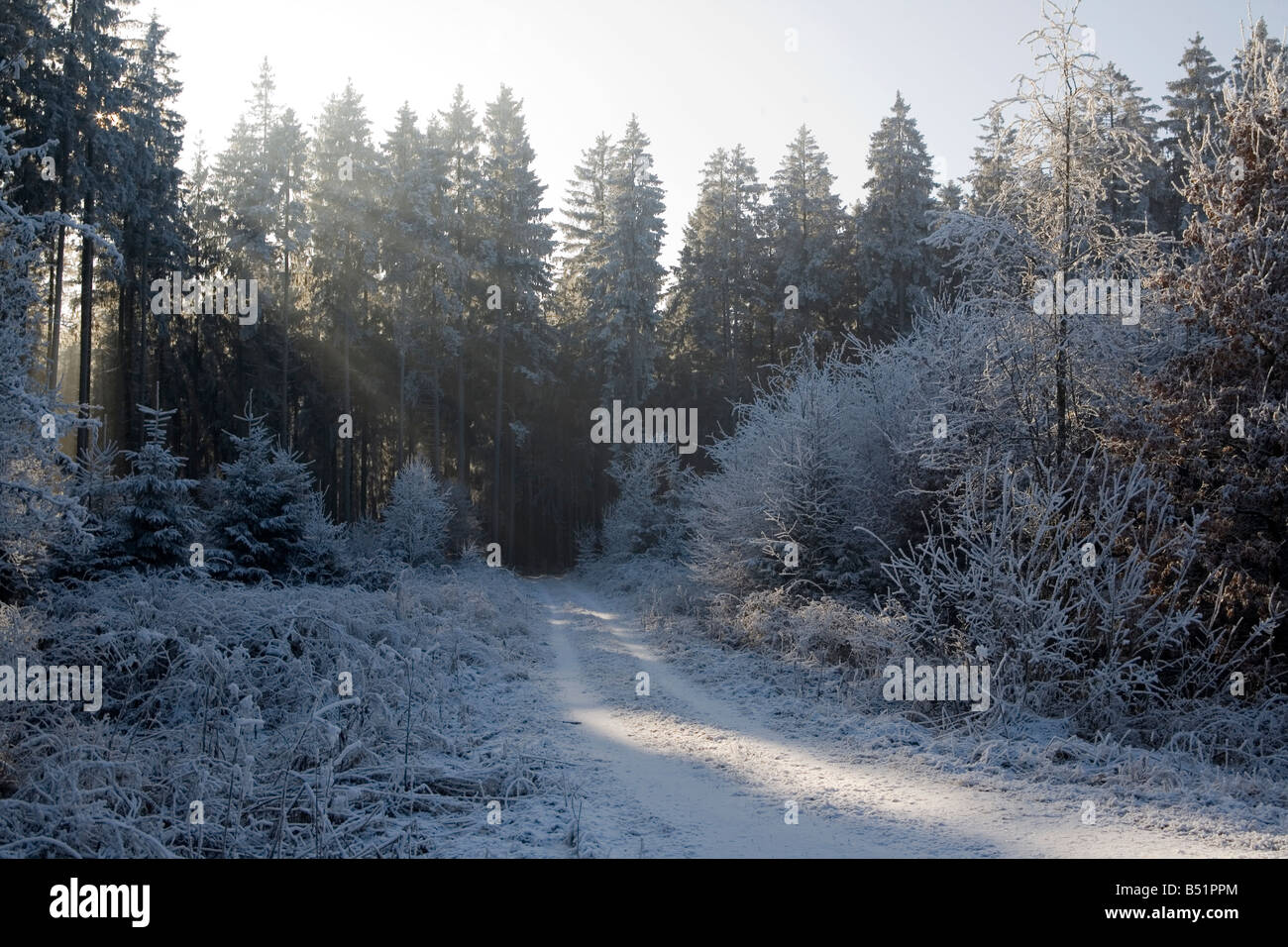 verschneite Winterlandschaft Stockfoto