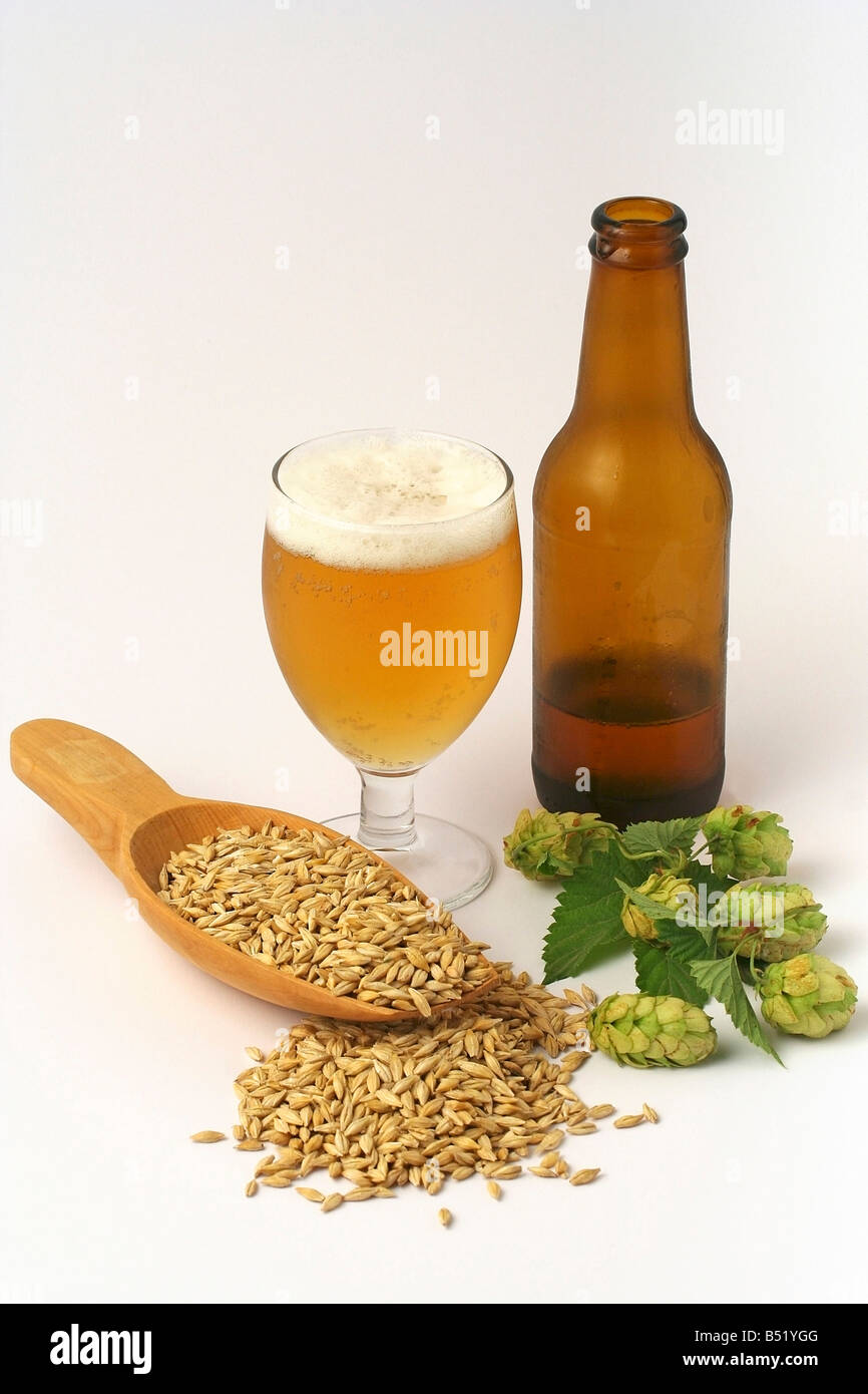 Bier, Gerste und Hopfen der Brauer Stockfoto