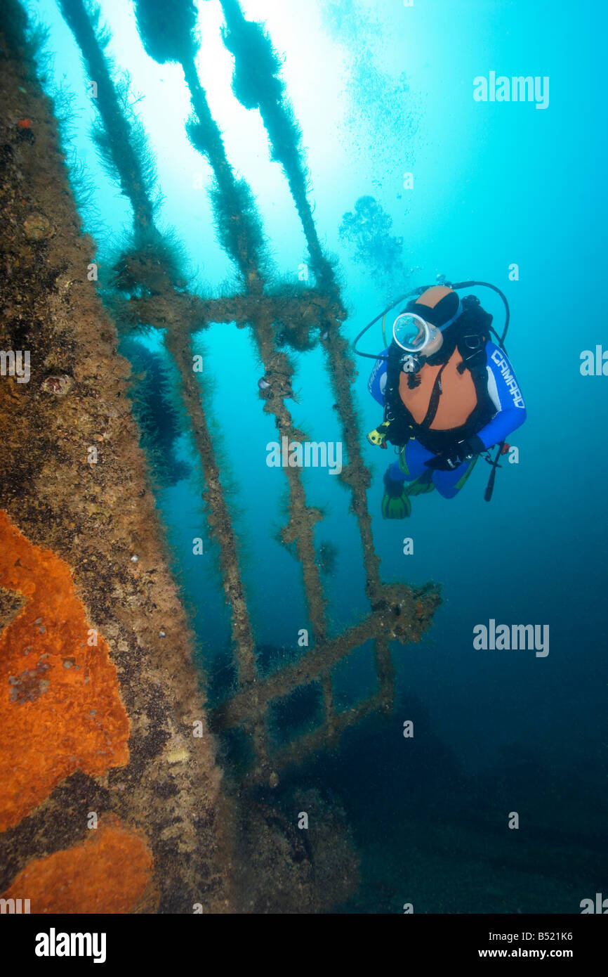 Taucher in einem versunkenen Schiff, Halbinsel Krim, Ukraine, Schwarzes Meer Stockfoto