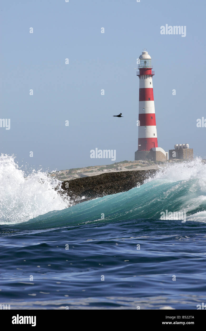 Dassen Island Lighthouse, Kapstadt Stockfoto