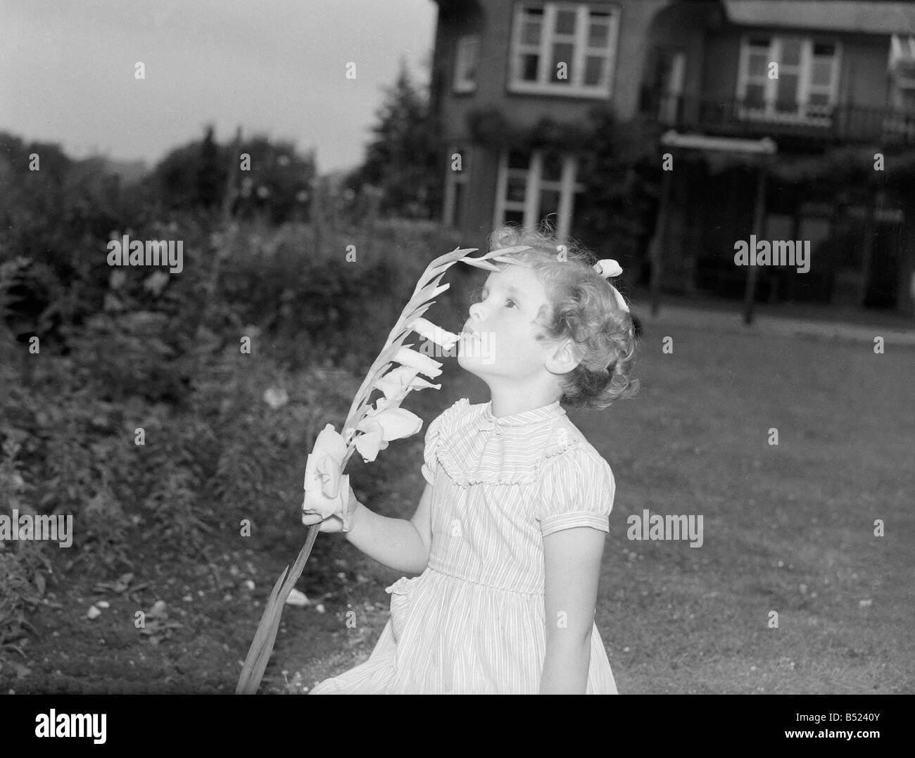 Kinder bei Sonnenschein zu Hause für blinde Kinder.  Sheila, 5 Jahre alte blinde Kiddie mit Gladiolen Blume.; 1950; 024831 X 3; Stockfoto