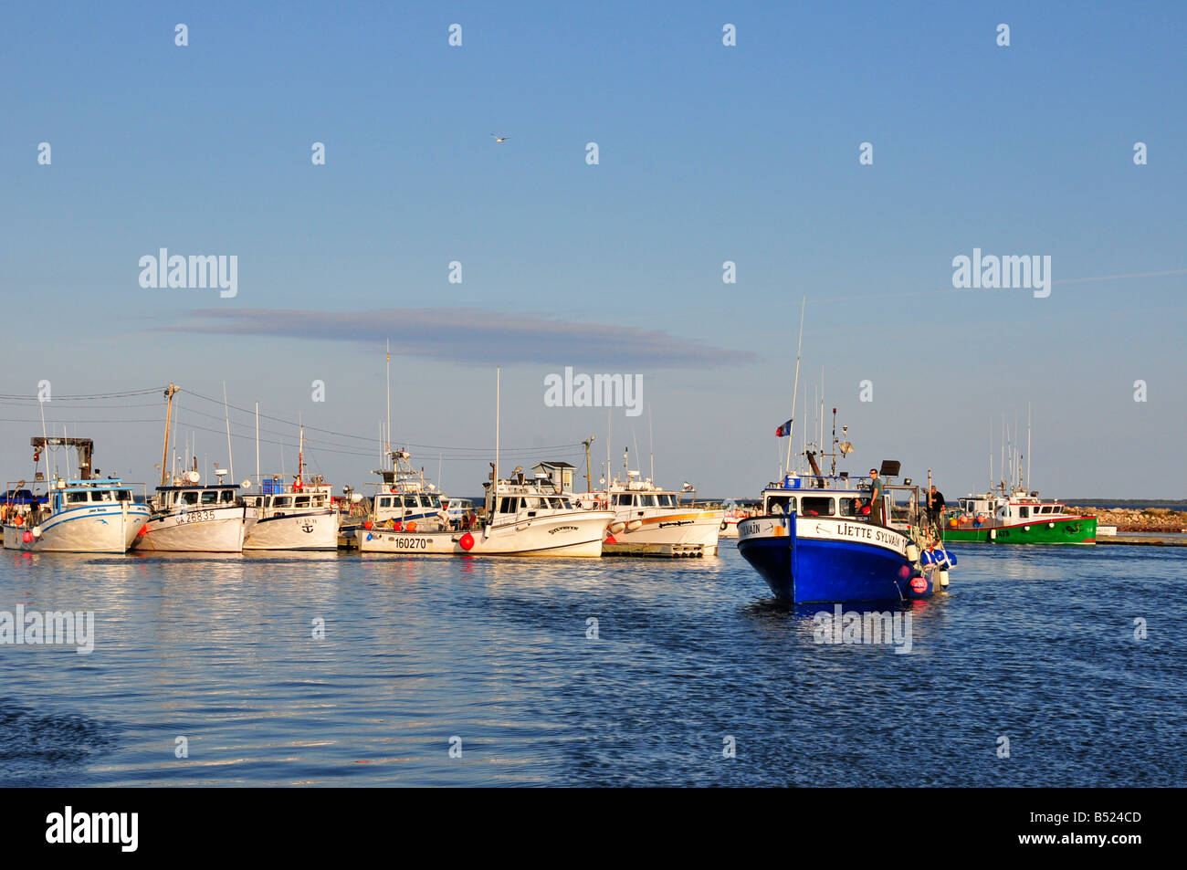 Fischerhafen von Miscou Insel New Brunswick, Kanada Stockfoto