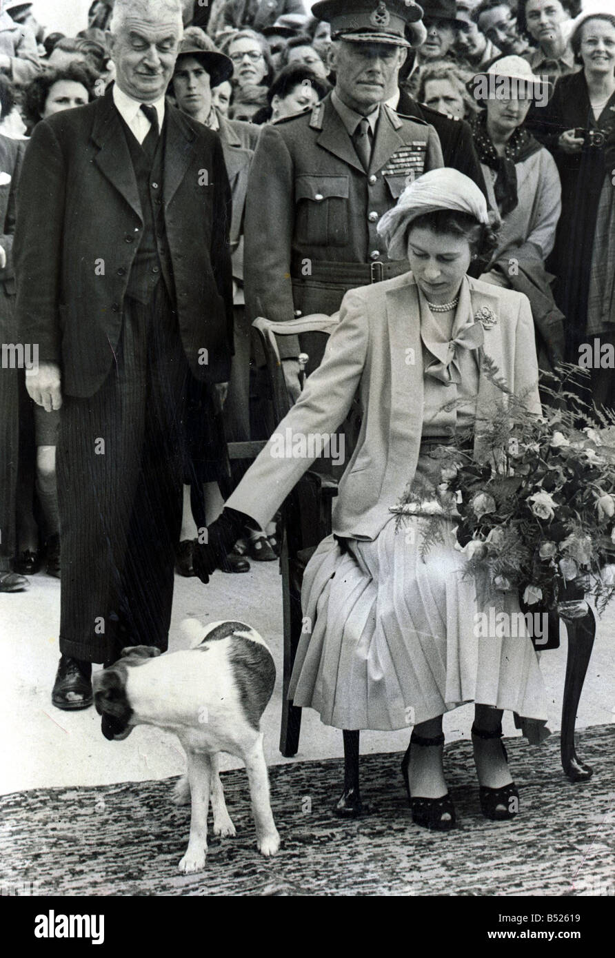 Prinzessin Elizabeth II auf Sark erhalten einen Blumenstrauß Hund zu Füßen sucht verdächtige Pip Terrier Tor stürzt die Zeremonie Königin Young Chuter Ede Innenminister suchen amüsiert Juni 1949 der 1940er Jahre Stockfoto
