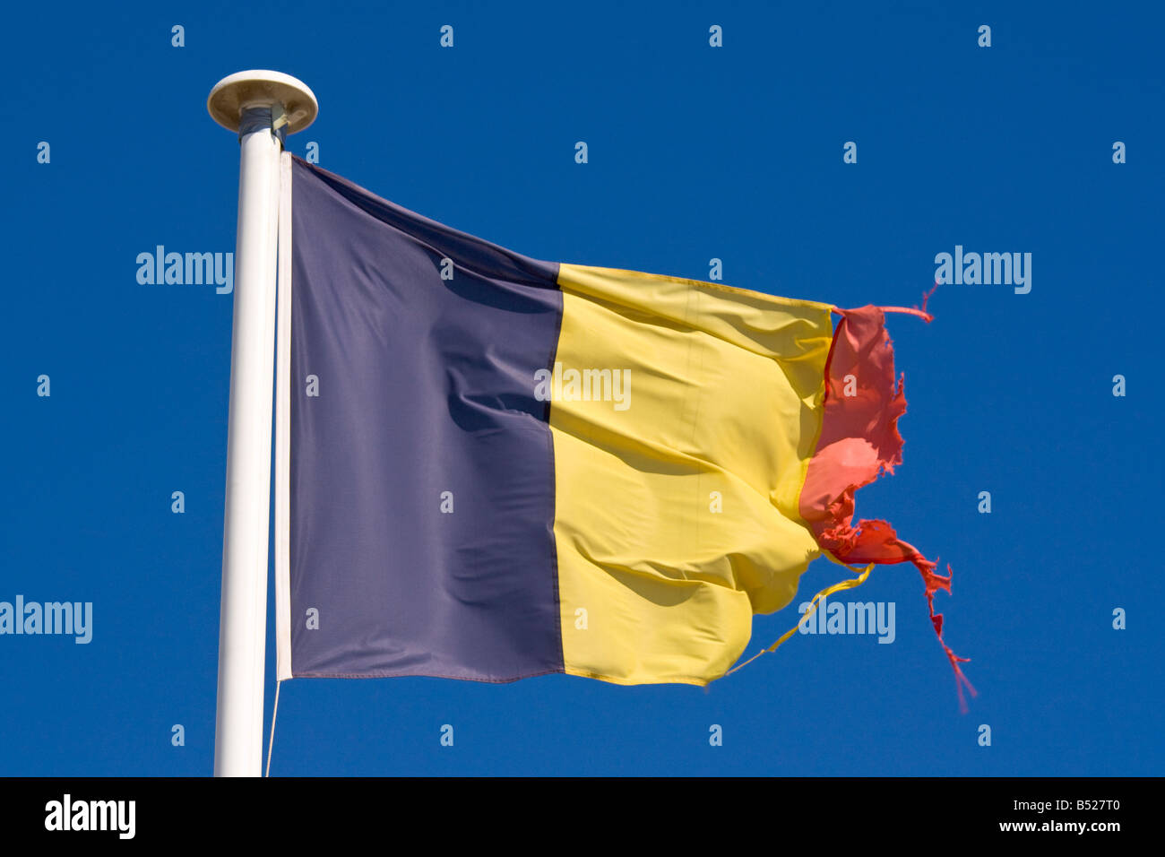 Eine zerfetzte belgische Flagge Wellen im wind Stockfoto