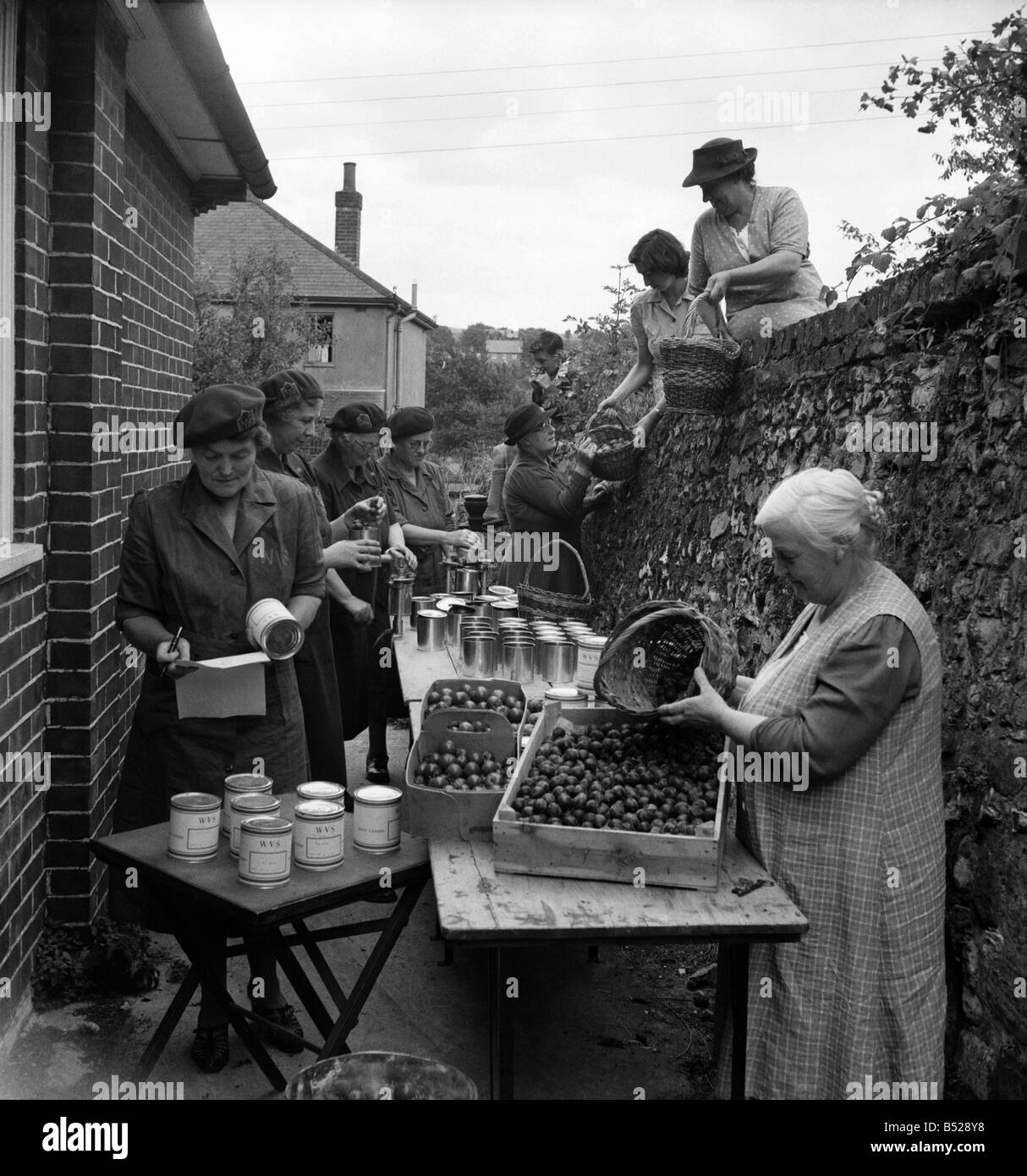 WVS canning-Zentrum in Folkestone Kent - Frauen drehen 250 Dosen Nahrung pro Tag. &#13; &#10; September 1949 &#13; &#10; O20106 Stockfoto