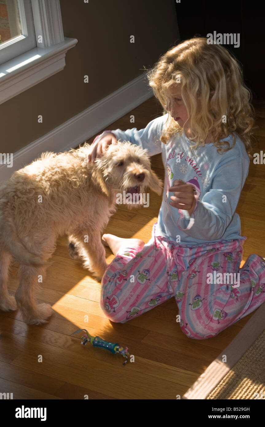Junges Mädchen Hund Labadoodle Stockfoto