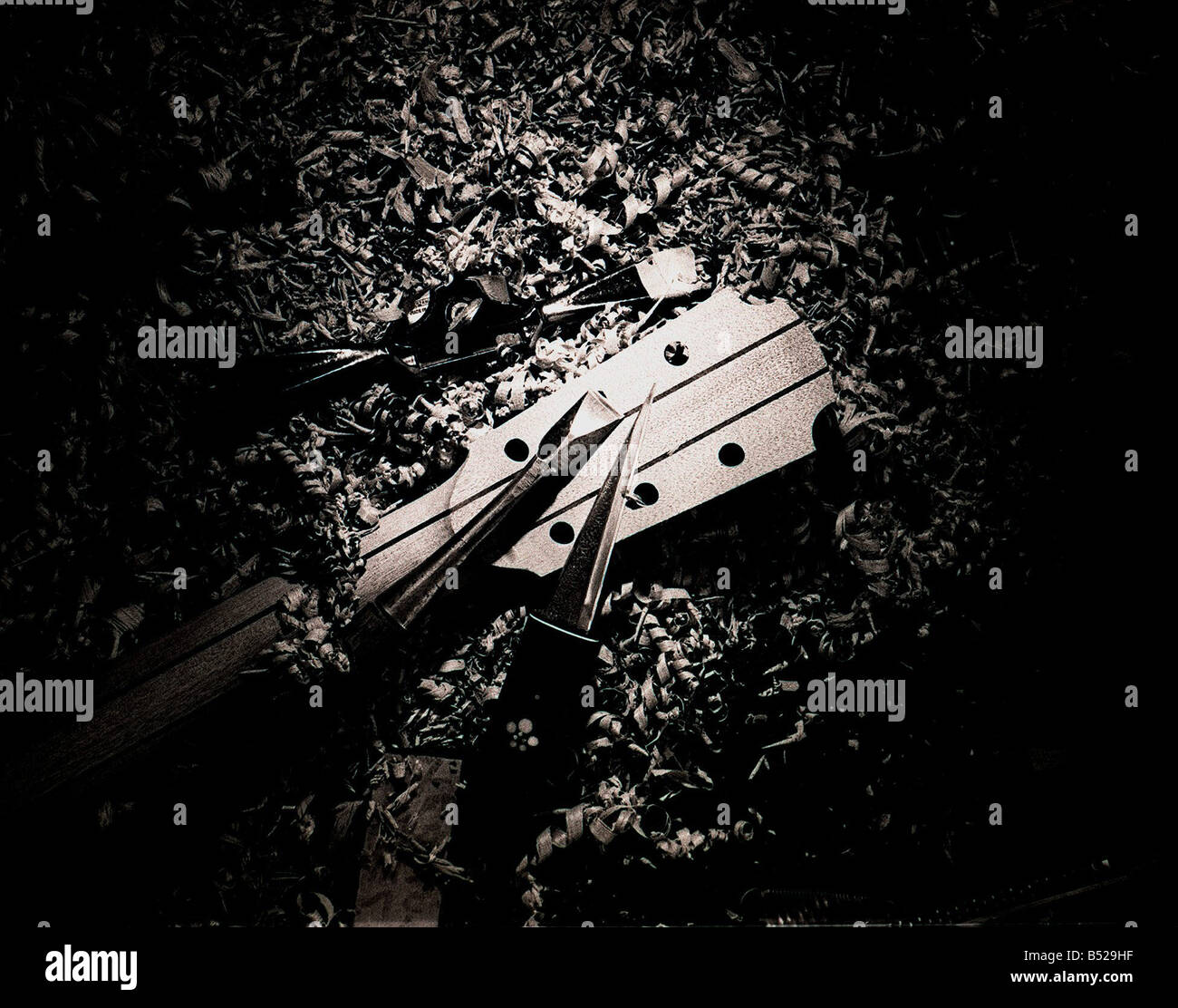 Lowden Gitarren In Bangor Co Down Northern Ireland Nov 99 George Lowden zeigte ersten Anzeichen des Genies, als er gerade war 10 1961 mit Hilfe von Co Down Postmeister machte er seine erste Gitarre aus Hartfaserplatte mit Nägeln für Bünde und Angelschnur für Zeichenfolge, jetzt ist er Vorsitzender des Lowden Gitarren ein Unternehmen die feiert ein Vierteljahrhundert im Geschäft und ist einer der besten Gitarren in der Welt eine Hand geschnitzt Gitarre-Kopf Stockfoto