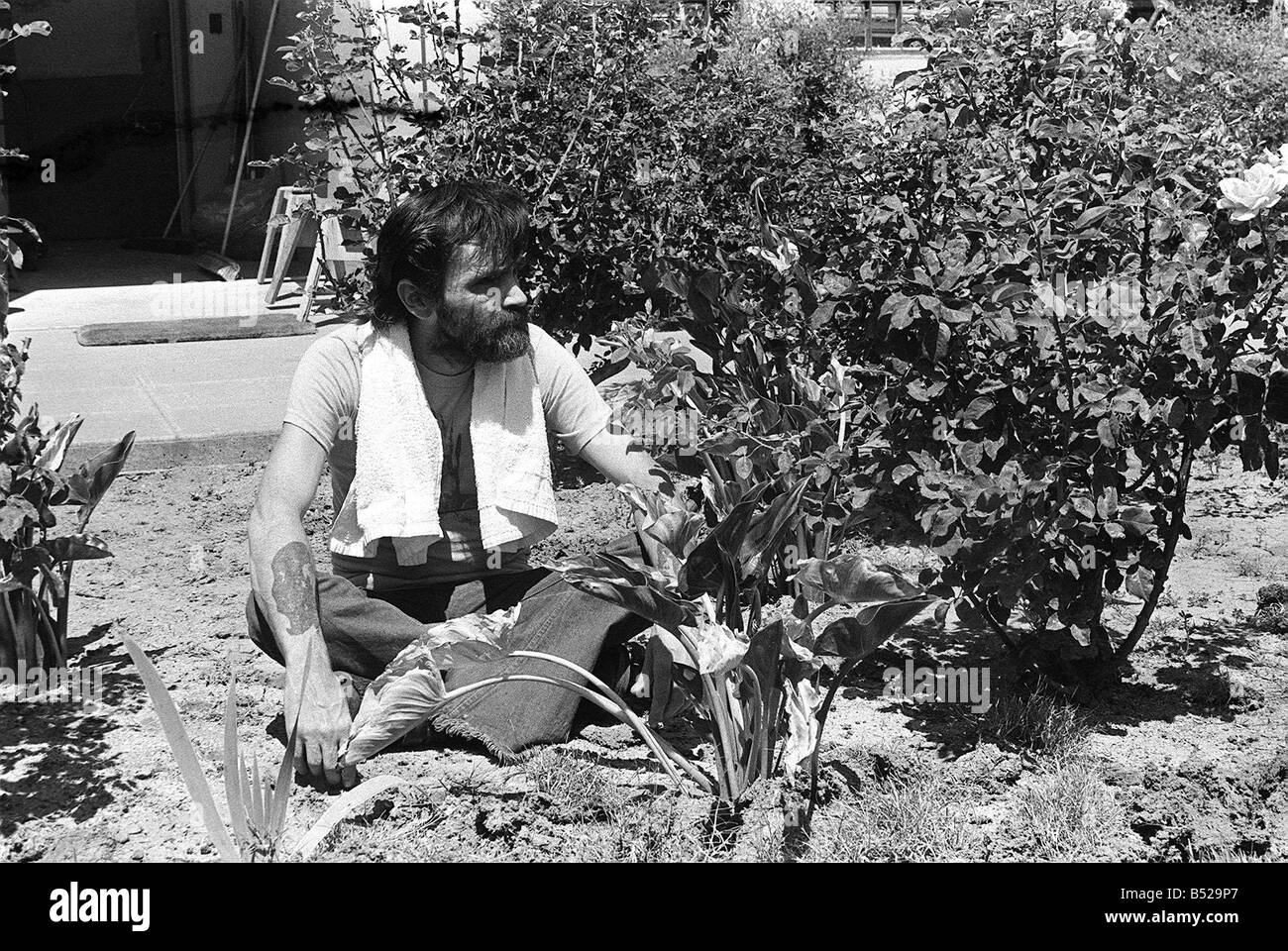 Charles Manson August 1980 der Mann, der Sharon Tate ermordet Stockfoto