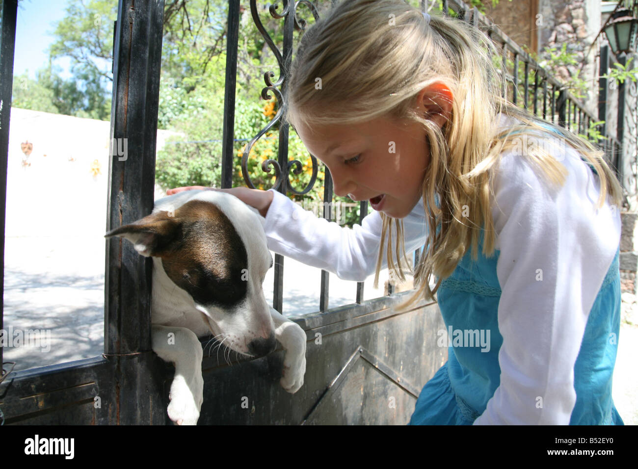 Achtjähriges Mädchen streicheln eines Hundes durch einen Zaun Stockfoto