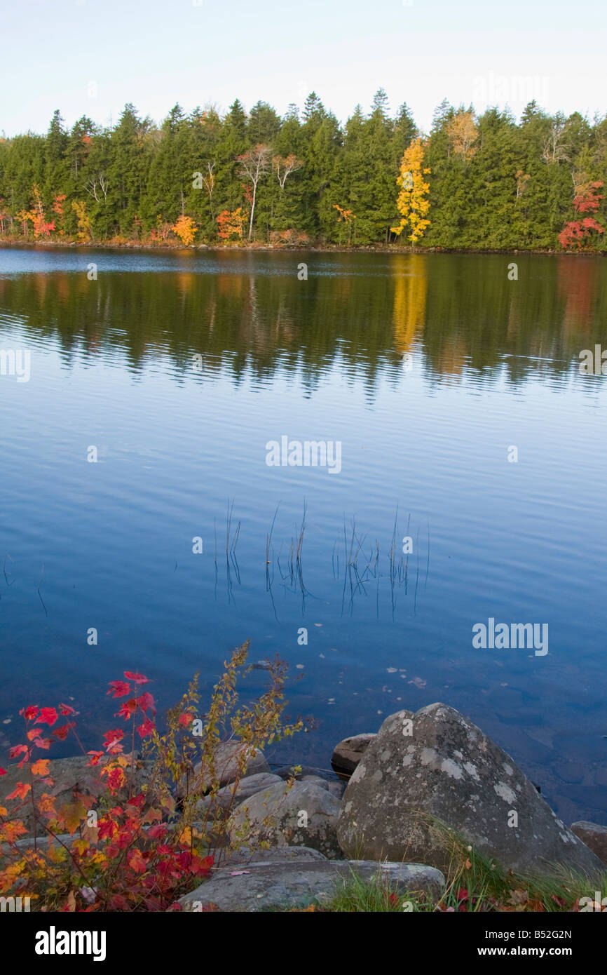 Herbstfarben am Ufer des Sees Fletcher - Fall River, Nova Scotia, Kanada Stockfoto