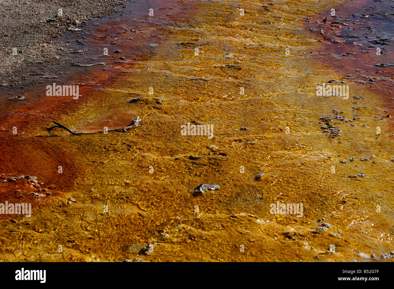 Geothermische Formationen & Farben erstellt durch mikrobielle Aktivität und Mineralvorkommen in West Thumb Geyser Basin Yellowstone Park Stockfoto