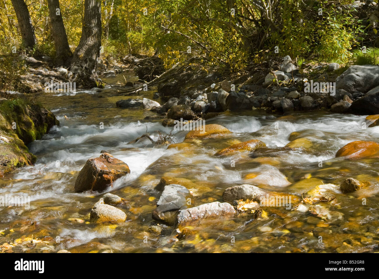 MsGee Creek, östlichen Sierras Stockfoto