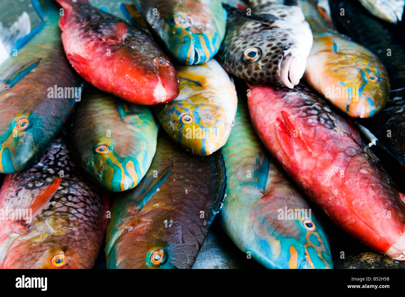 Bunte Fische verkauft in einem lokalen Markt in Phuket. Stockfoto