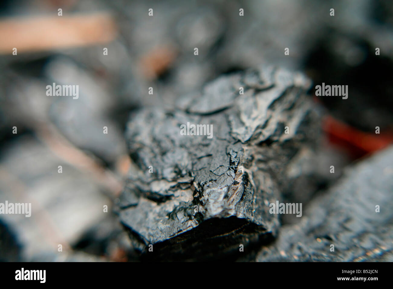 Kohle-Makro Stockfoto