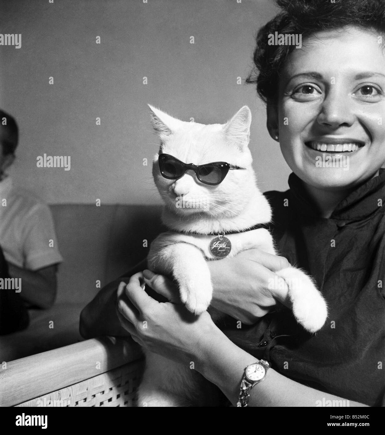 Gragello Castillo, der aus Equador in Südamerika gesehen mit ihrer Katze Yoghi Sonne Brille kommt. September 1952 Stockfoto