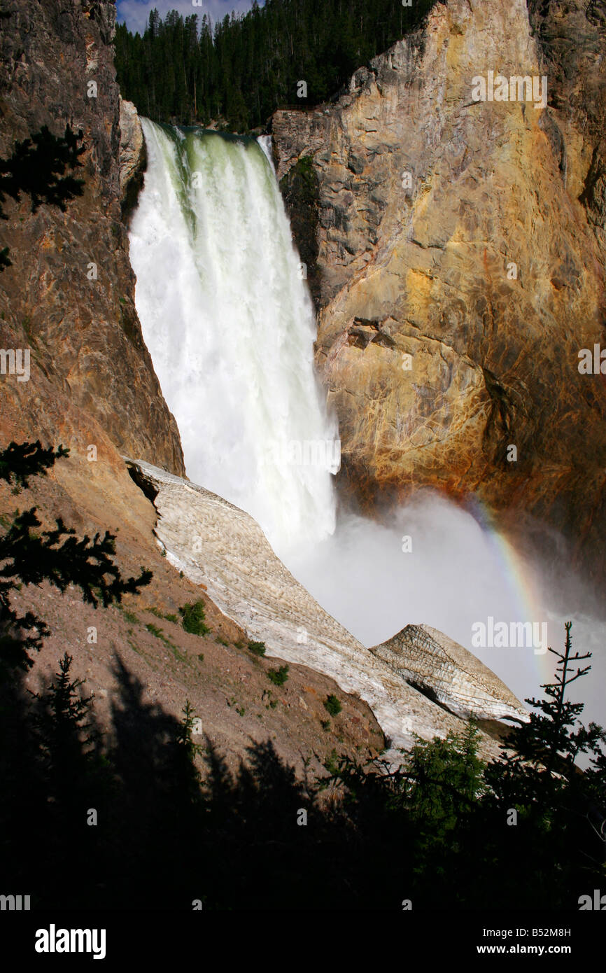 Grand Canyon des Yellowstone niedriger fällt zeigt im Juli Nahaufnahme von Yellowstone River und fällt mit Regenbogen Stockfoto