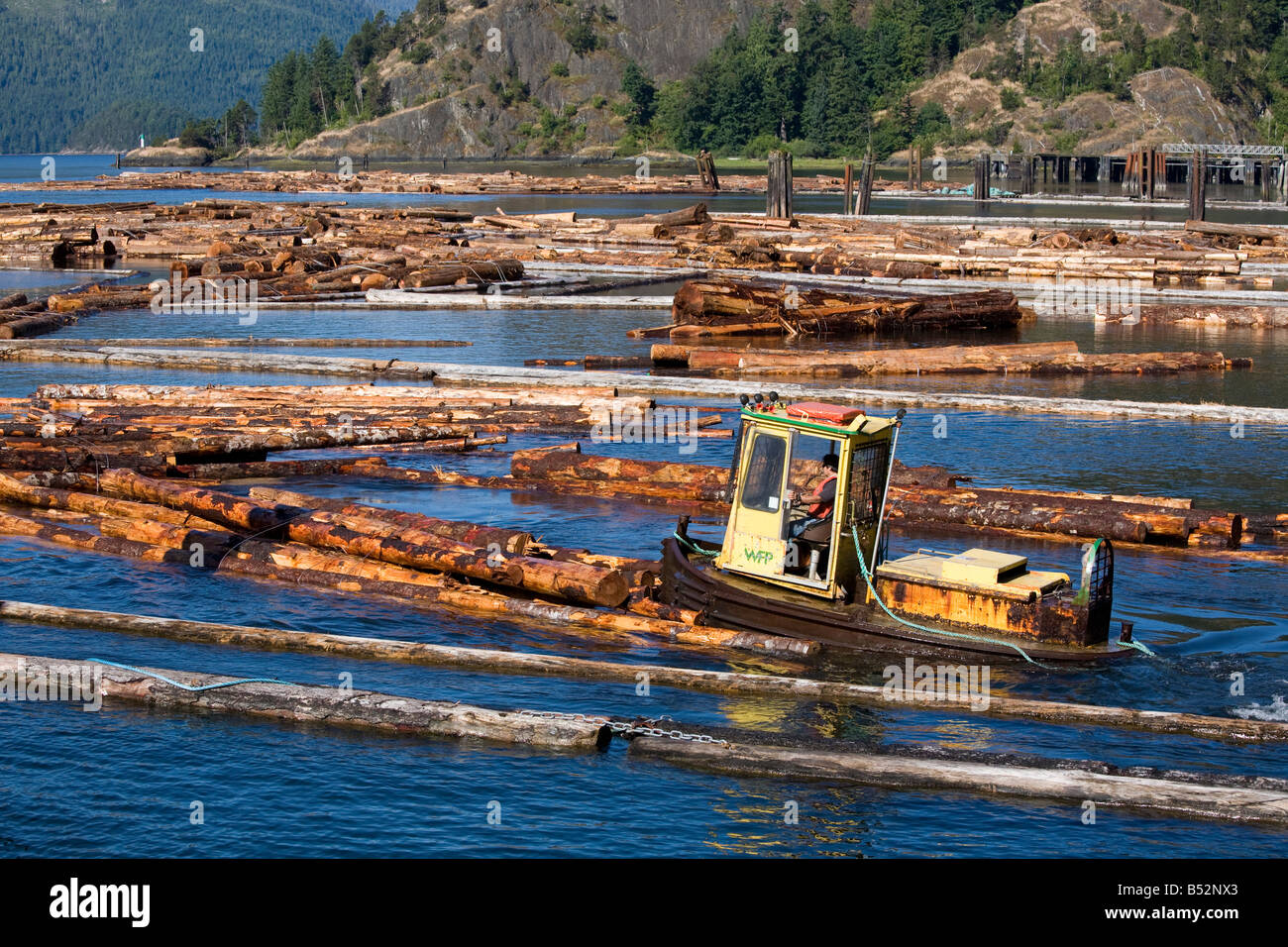 Lumber Mill Gold River Vancouver Island in British Columbia Kanada