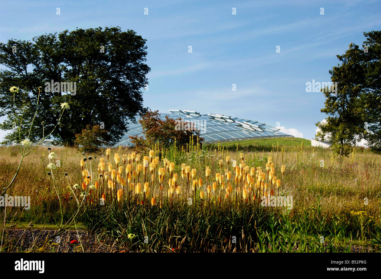 Nationaler Botanischer Garten von Wales Llanarthne Westwales Stockfoto
