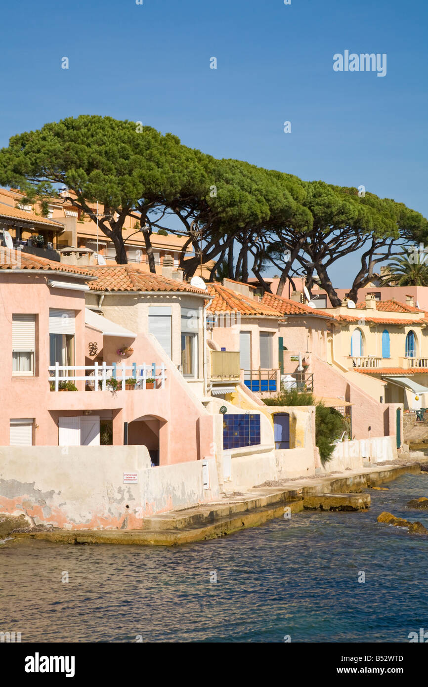 Wohnhäuser und Pinien stehen am Rand des Mittelmeers an der Cote d ' Azur / Provence / Südfrankreich Stockfoto