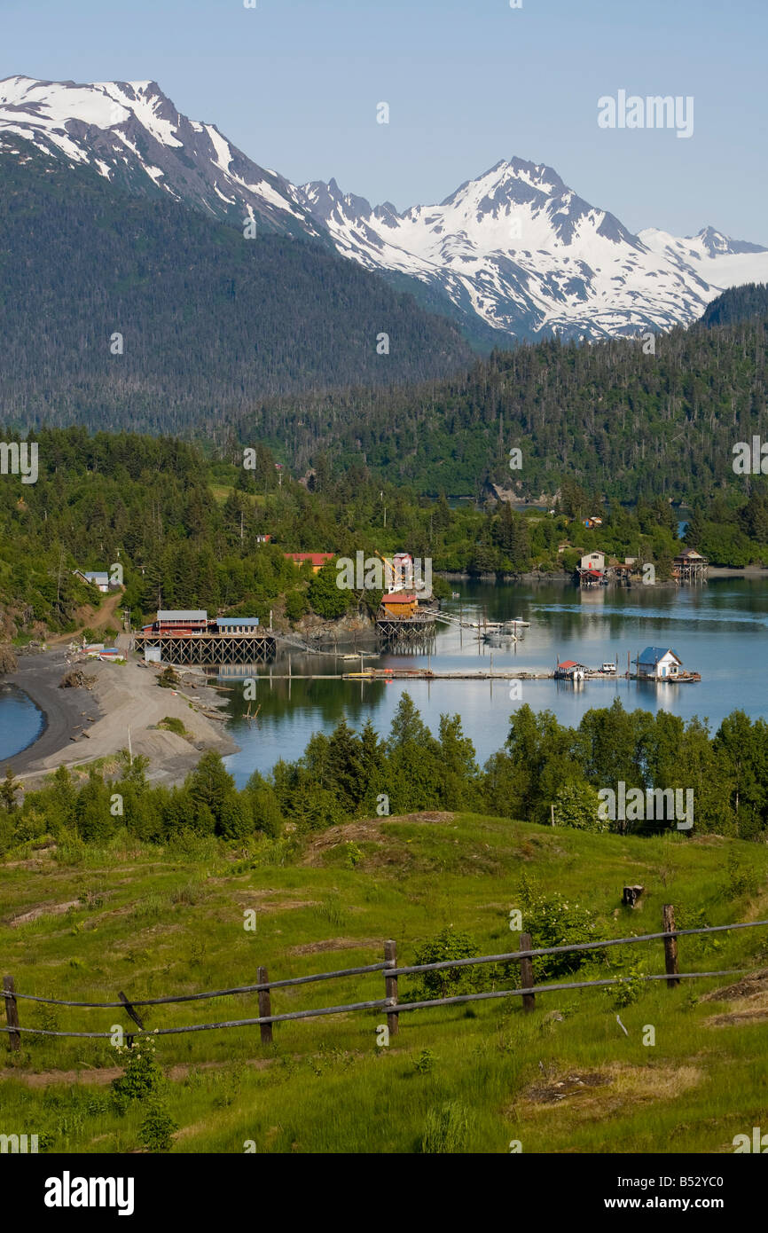 Halibut Cove in Kachemak Bay gegenüber Homer, Alaska im Sommer Stockfoto