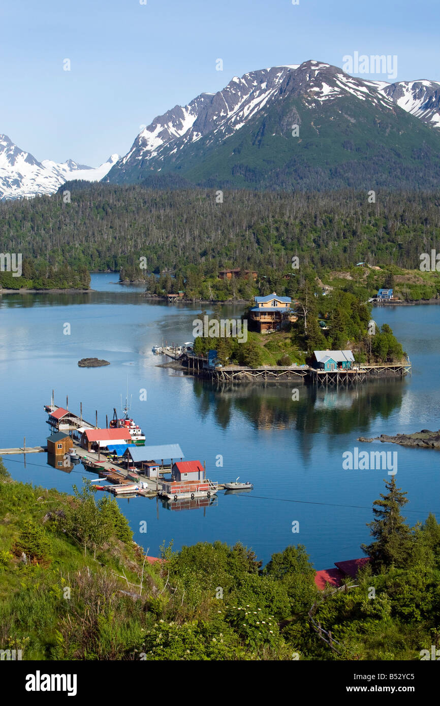 Halibut Cove in Kachemak Bay gegenüber Homer, Alaska im Sommer Stockfoto