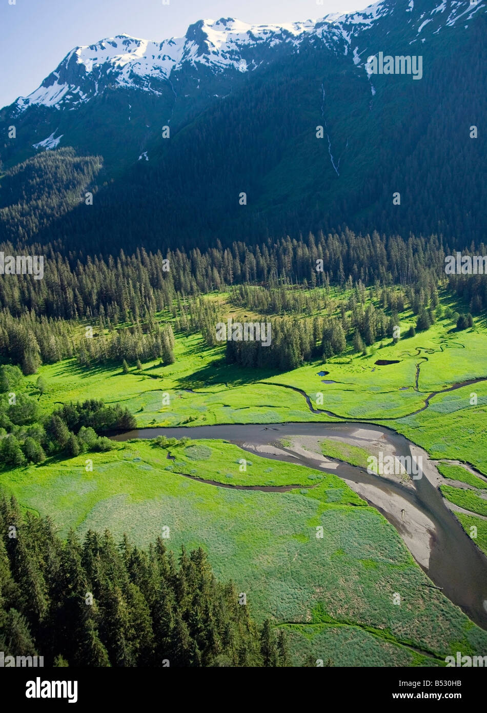 Antenne des Feuchtgebiet Umwelt auf die Admiralität Insel Southeast Alaska/nTongass National Forest Stockfoto