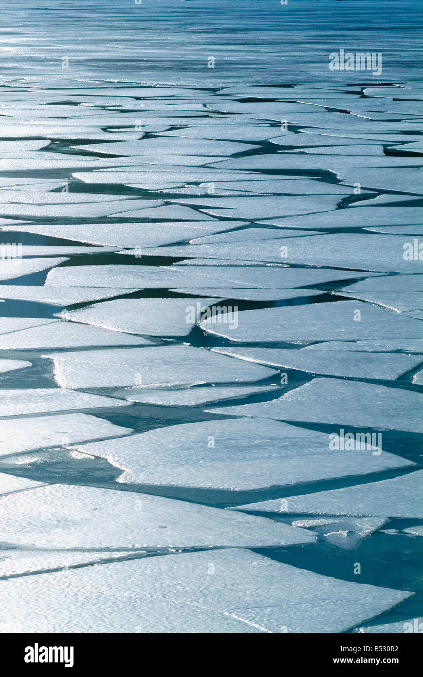 Winter-Eisschicht auf Portage Lake aufbrechen w/Frühjahr Auftauen Yunan Alaska Portage Valley Stockfoto