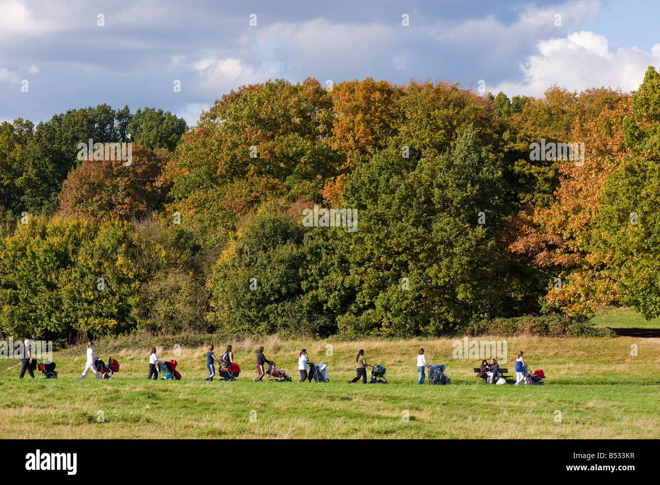 Herbstfarben in Hampstead Heath London Vereinigtes Königreich Stockfoto