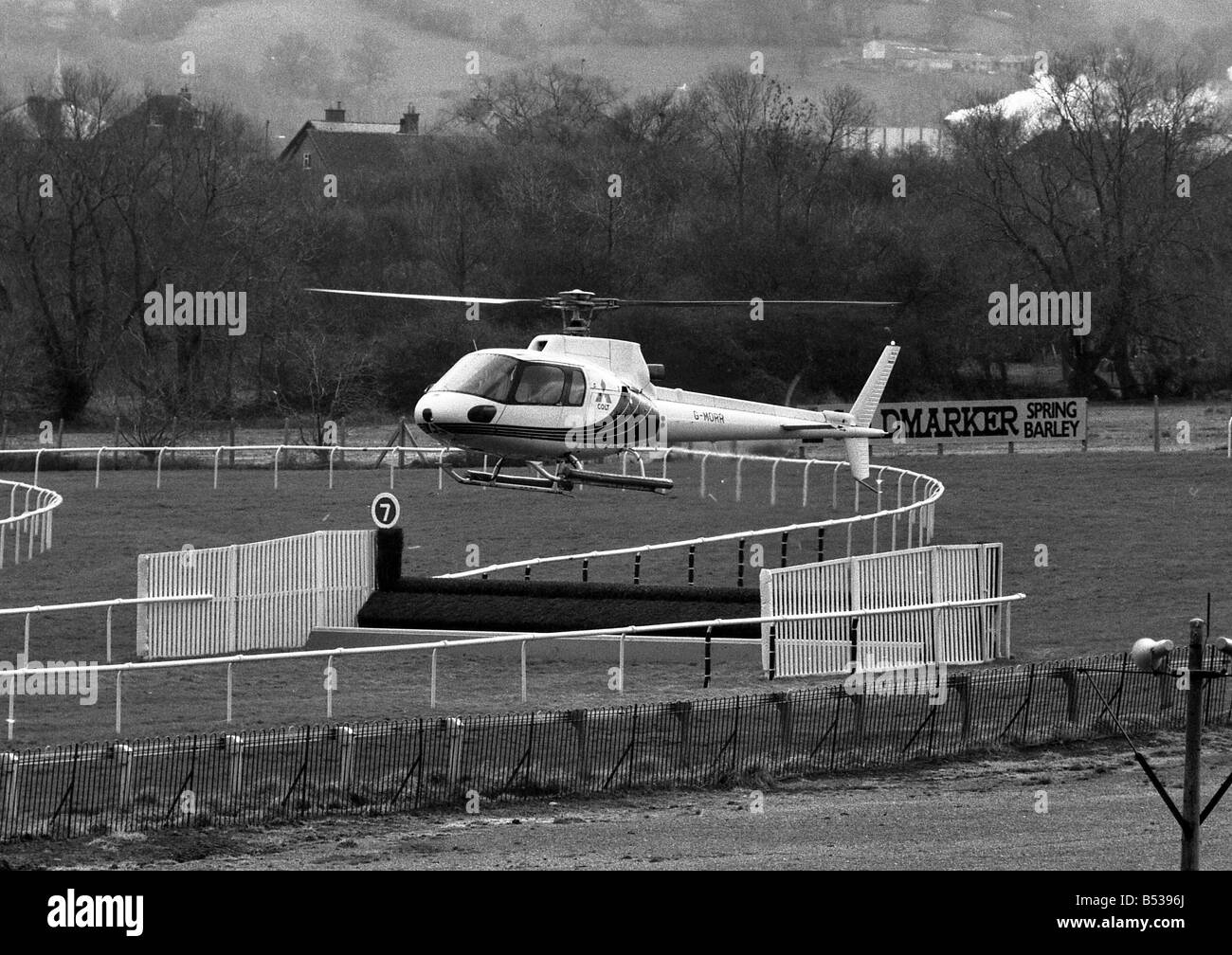 Hier sind ein paar der schnellsten Colts, über den Heiligen Rasen des Cheltenham Racecourse Rennen, die sie auf dem berühmten breezed Stockfoto