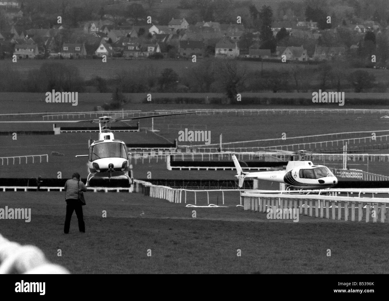 Hier sind ein paar der schnellsten Colts, über den Heiligen Rasen des Cheltenham Racecourse Rennen, die sie auf dem berühmten breezed Stockfoto