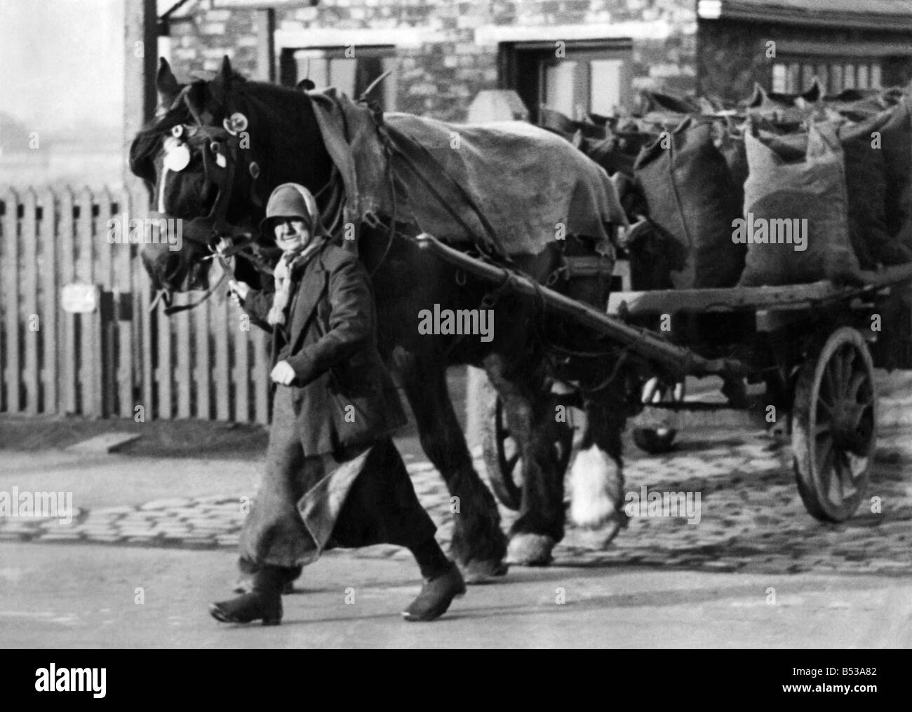 Miss Hannah Turner von Shevington in der Nähe von Wigan, mit ihrem Pferd und Kohle LKW, obwohl sie noch 58 Jahre alt, leitet ihr eigenes Stockfoto