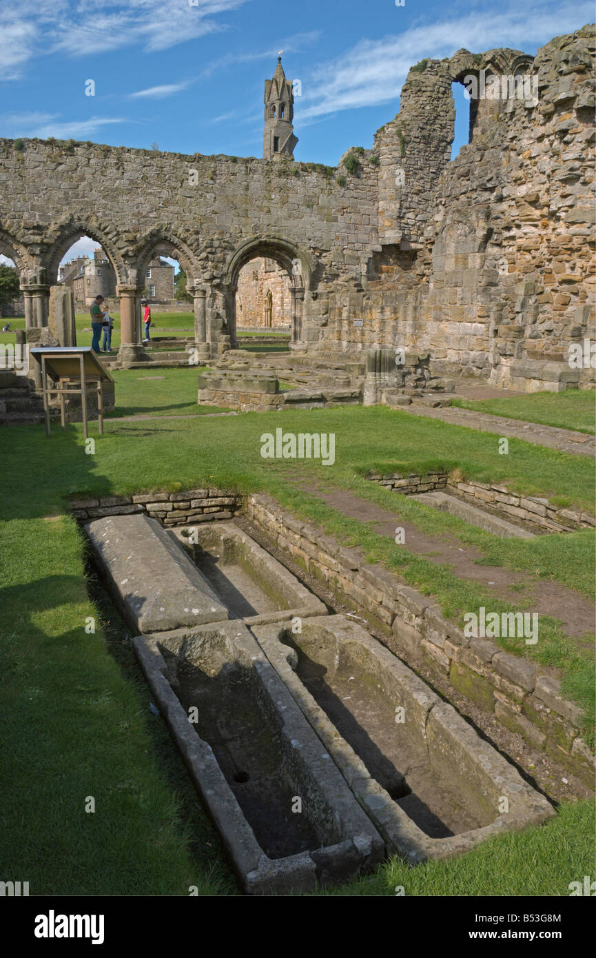 St. Andrews Cathedral Ruinen Fife Schottland August 2008 Stockfoto