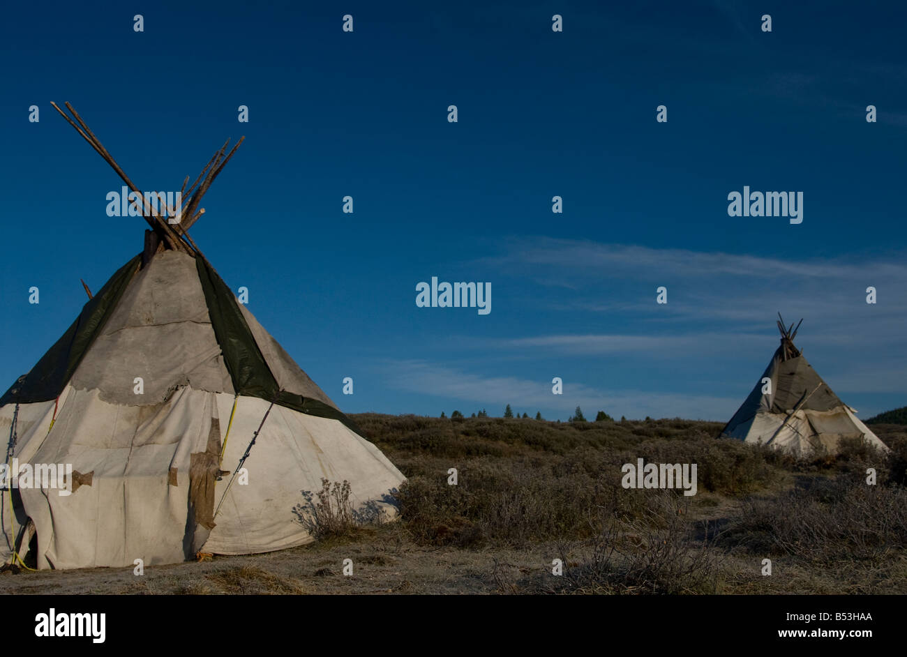 Tsaatan Tipi Lager Norden der Mongolei Stockfoto